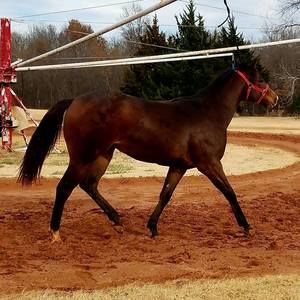 Meet your Posher, Renee